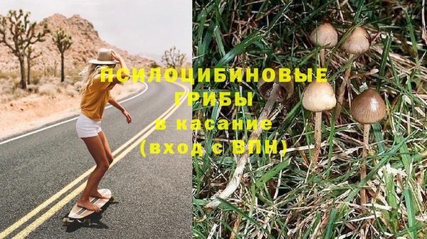 сатива Балабаново
