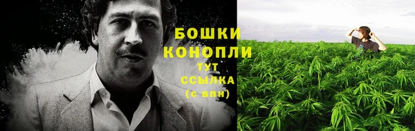 сатива Балабаново