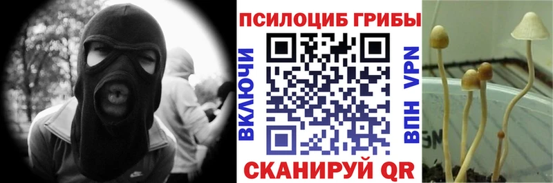 Псилоцибиновые грибы Psilocybine cubensis  купить наркоту  Гаврилов-Ям 